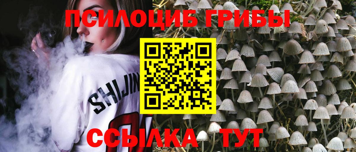 Галлюциногенные грибы мицелий  Вход с VPN  Галлюциногенные грибы MAGIC MUSHROOMS  Калач-на-Дону 