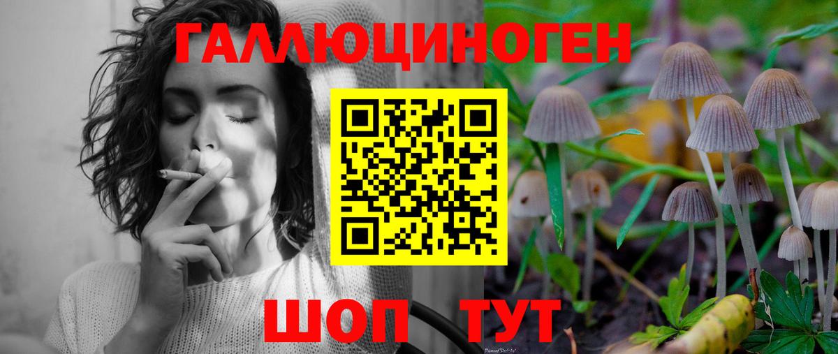 Псилоцибиновые грибы GOLDEN TEACHER Калач-на-Дону